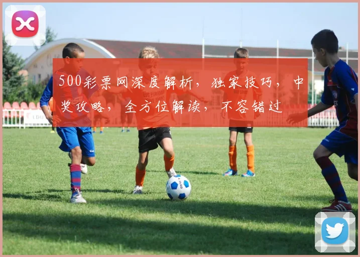 500彩票网深度解析，独家技巧，中奖攻略，全方位解读，不容错过