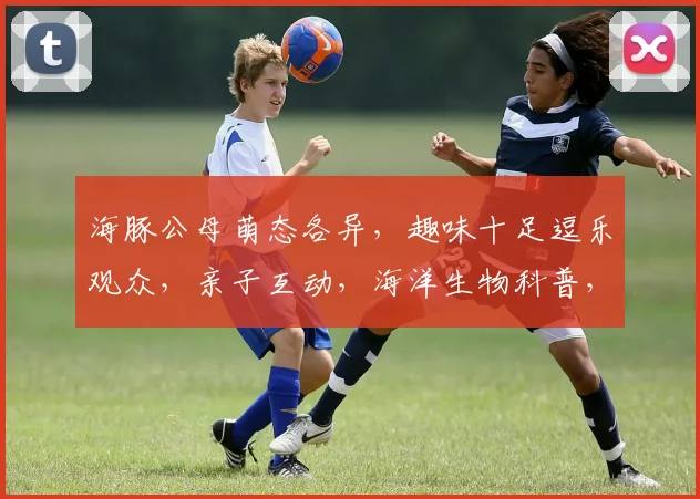 海豚公母萌态各异，趣味十足逗乐观众，亲子互动，海洋生物科普，一睹为快